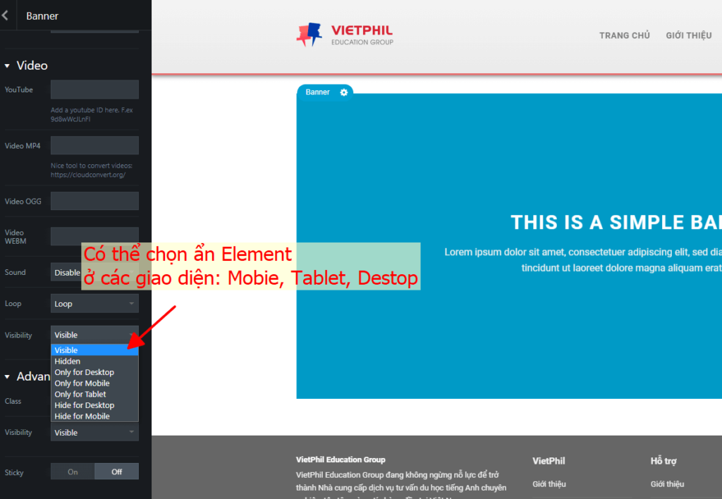 Ẩn element trong trang